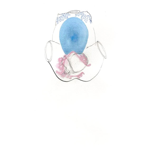 Helen Sargeant, Birth: Icon Drawings, Emergence
