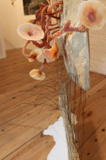 Sally Barker, Suspended and Stitched, detail