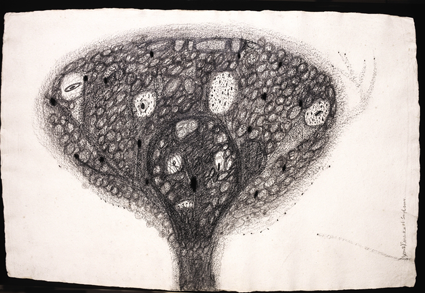 Womb Bloom Pencil on Paper, 2003